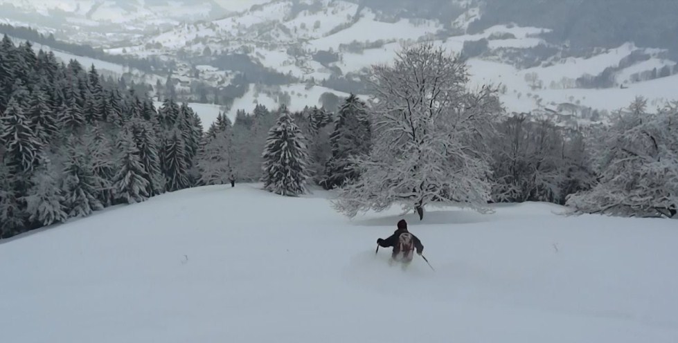 #3 descente : belles clairières dans le bas descente : belles clairières dans le bas