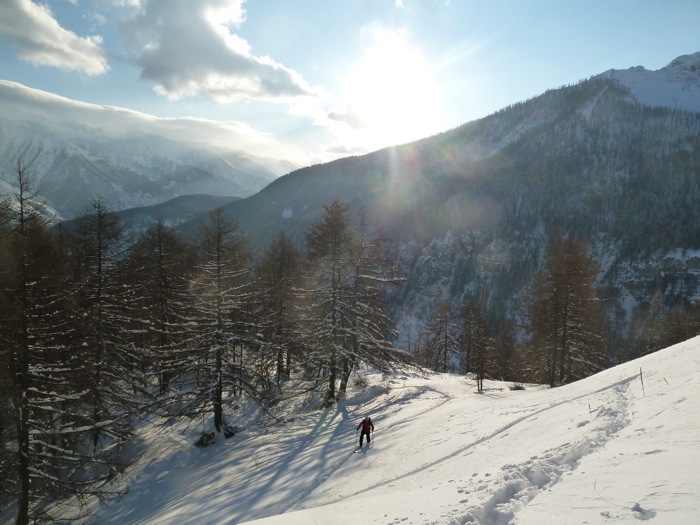 #3 Petite clairière où il fait : bon au soleil Petite clairière où il fait : bon au soleil
