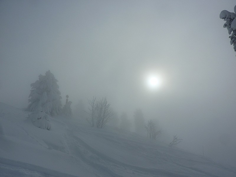 #16 Piste Olympique : Brouillard à l Piste Olympique : Brouillard à l'aller et au retour