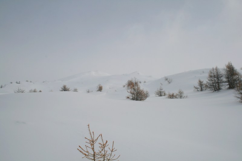#4 Nous sortons du bois : le sommet se montre. Nous sortons du bois : le sommet se montre.