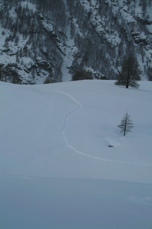 #2 Plaisir de faire sa trace Plaisir de faire sa trace