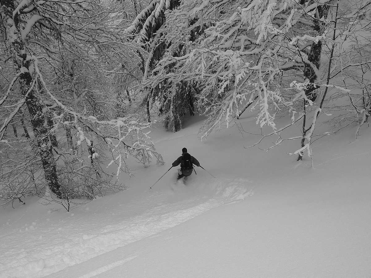#2 Pravouta SW : une petite trouée secrete qui rejoint le bas du teleski du col du Coq Pravouta SW : une petite trouée secrete qui rejoint le bas du teleski du col du Coq
