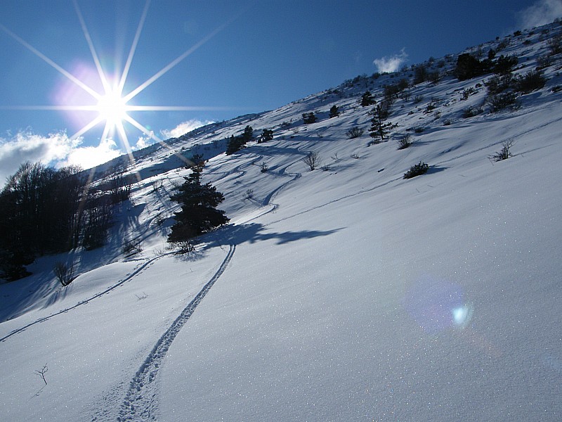#5 Pour le plaisir : ...................... Pour le plaisir : ......................