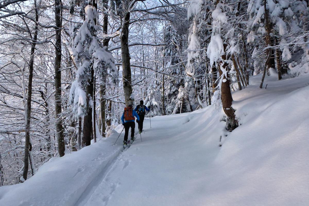 #1 Les premiers hectomètres : Sous les arbres chargés de neige. Les premiers hectomètres : Sous les arbres chargés de neige.