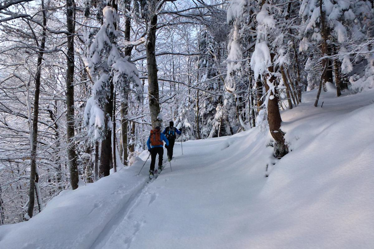 Les premiers hectomètres : Sous les arbres chargés de neige.