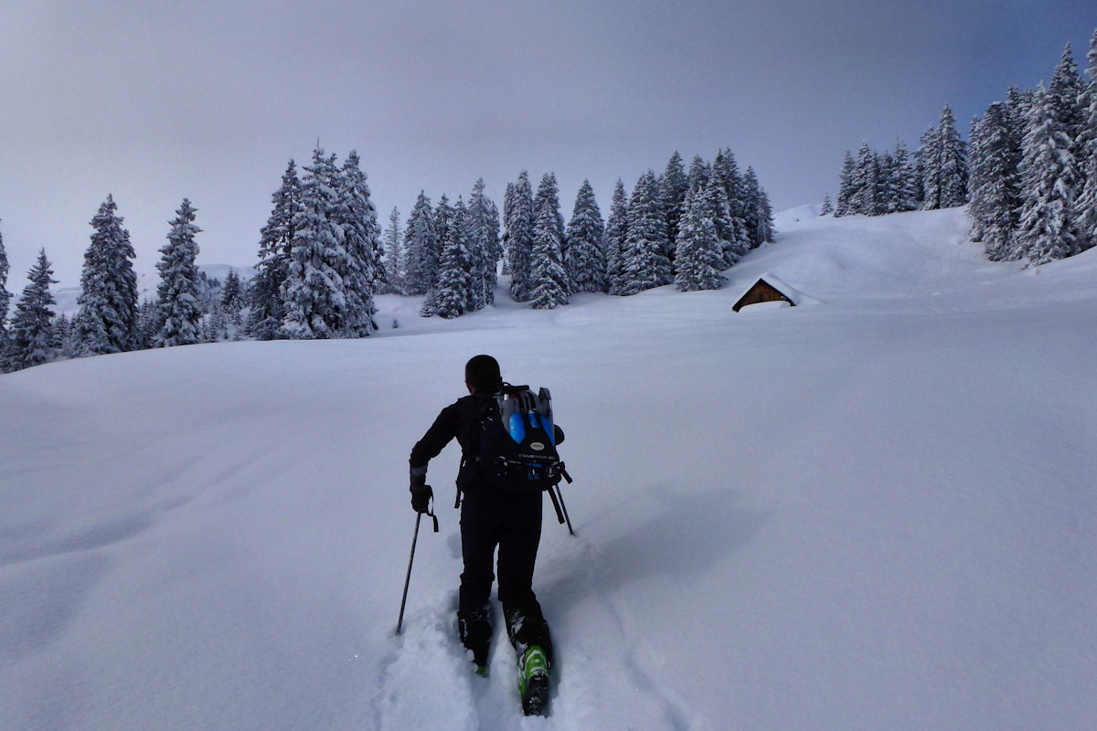 #6 Enfin sortis de la forêt : Vers le chalet de Charvan. Enfin sortis de la forêt : Vers le chalet de Charvan.