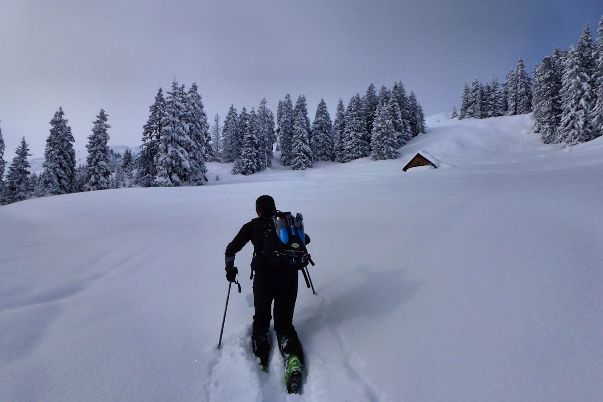 Enfin sortis de la forêt : Vers le chalet de Charvan.