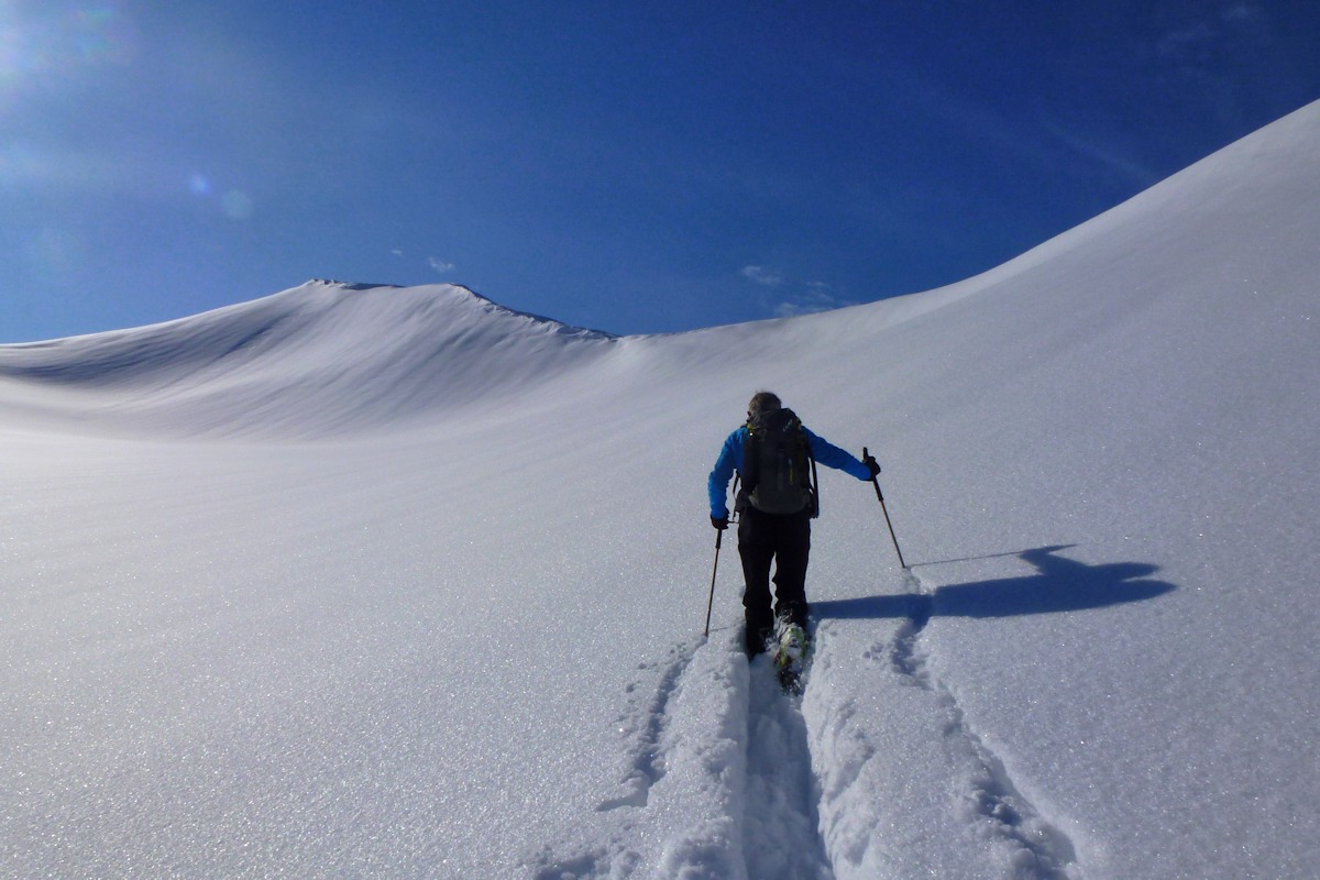 Avant de rejoindre la crête : Veloski à la trace.