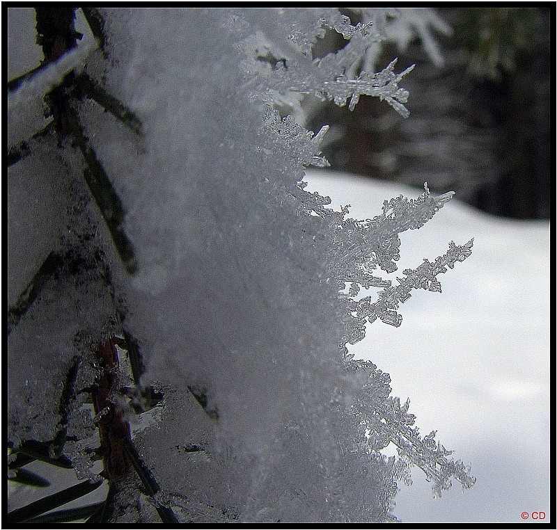 #1 Cristaux : -9° au parking ! Cristaux : -9° au parking !