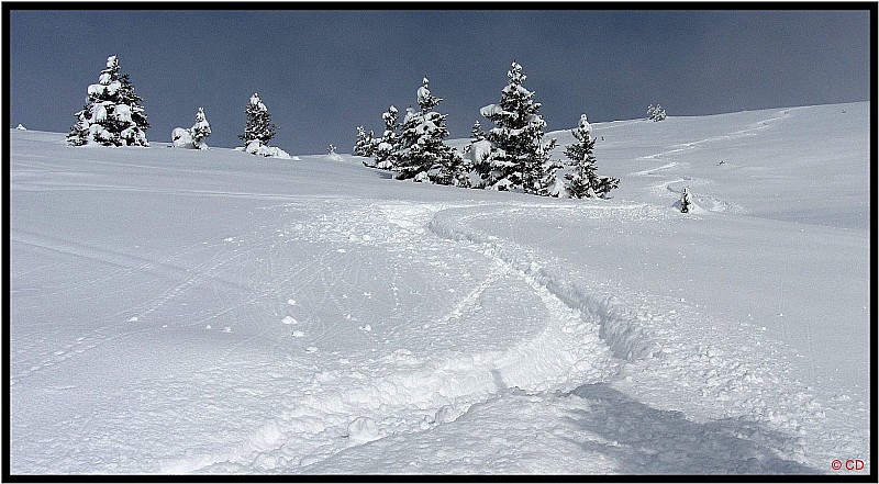 #8 Miam : Que du bonheur cette neige Miam : Que du bonheur cette neige