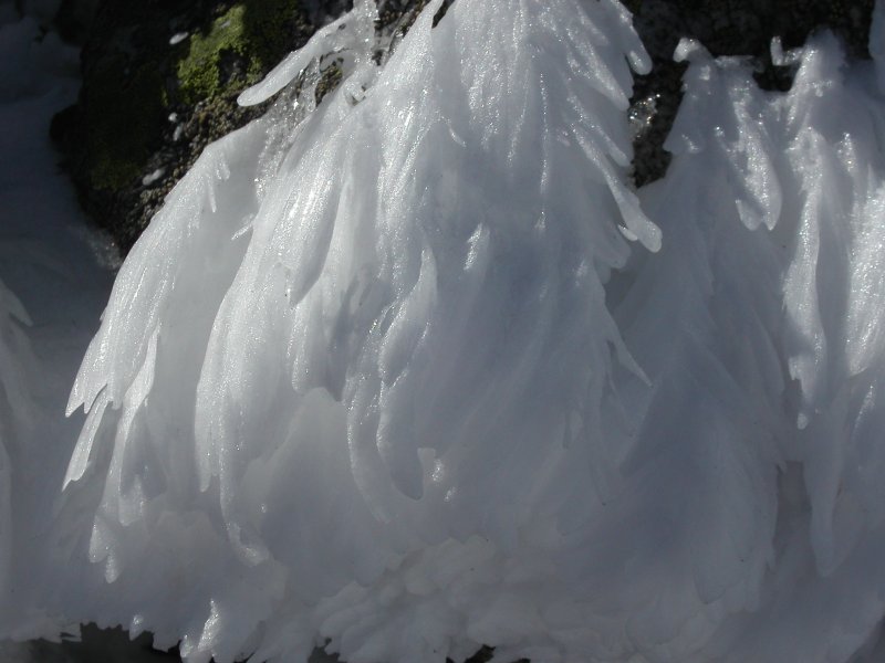 #3 Plumes d Plumes d'anges : Tout plein de givre sur les rochers sommitaux, c'est très joli on dirait des plumes !