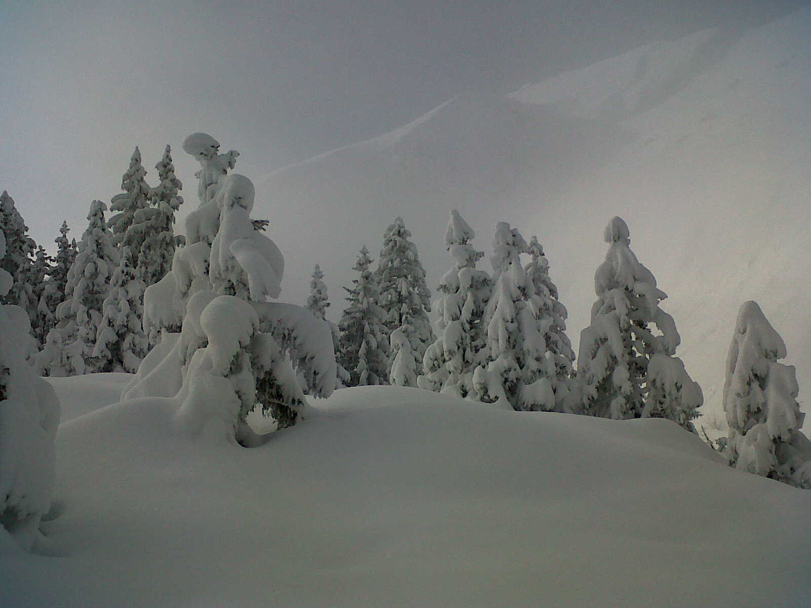 #2 Dans la montée : Soleil et neige ++++ Dans la montée : Soleil et neige ++++