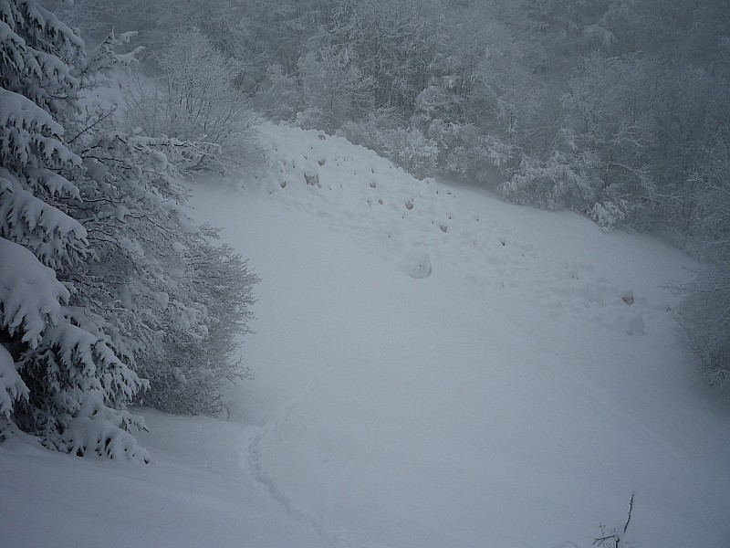 #3 avalanche : la combe est bien bouchée avalanche : la combe est bien bouchée