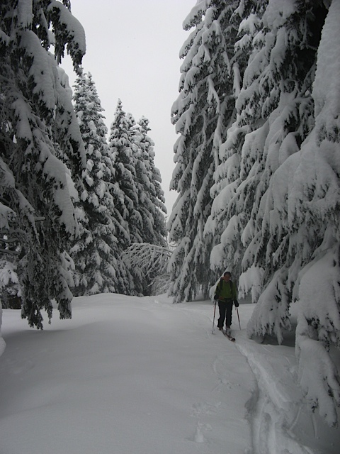 #1 Blanc, blanc, blanc : encore dans les ténèbres Blanc, blanc, blanc : encore dans les ténèbres