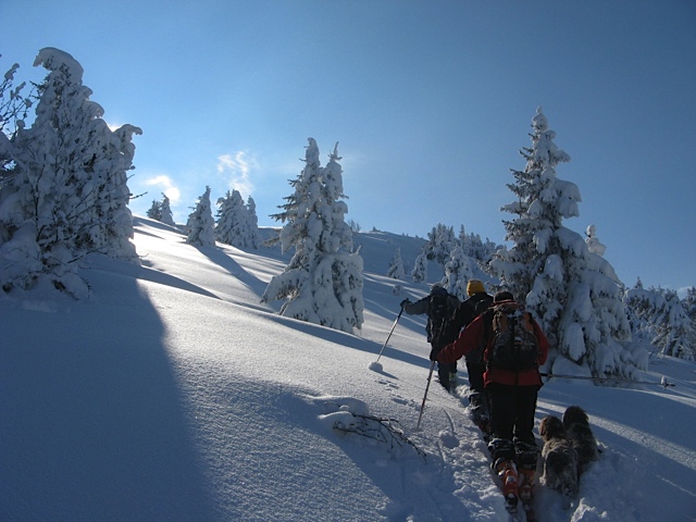 #3 ombre et lumiere : On approche la crête du grand chat ombre et lumiere : On approche la crête du grand chat