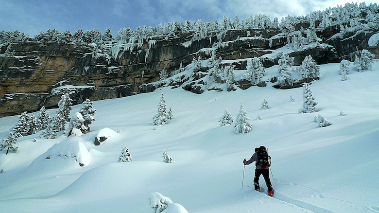 #3 Pas loin du Paradis Pas loin du Paradis