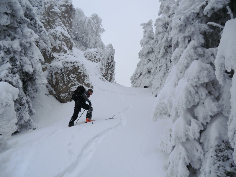 #17 enfin à l enfin à l'arrivée au Collet, après une montée en brasse coulée, avec navigation au gps