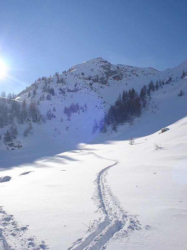 #6 neige froide : quelle neige! neige froide : quelle neige!