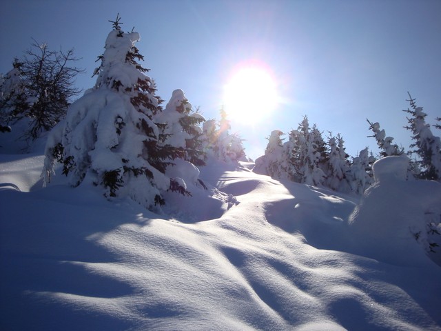 #2 Quermoz : Quintessence de l Quermoz : Quintessence de l'hiver