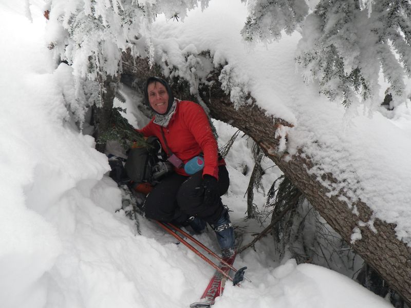 #1 forêt toute cassée : folklorique :-) ! mais pas froid ! forêt toute cassée : folklorique :-) ! mais pas froid !