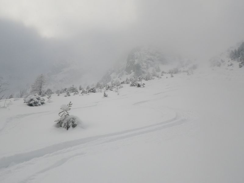 #2 belle descente : Une neige agréable entre le collet 1994 et la cabane belle descente : Une neige agréable entre le collet 1994 et la cabane