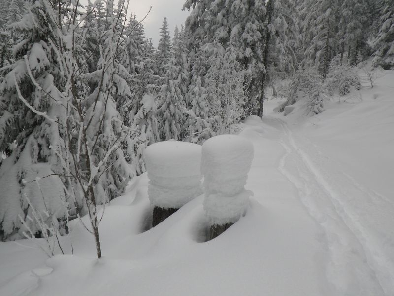 #4 les troncs et la neige : Une belle épaisseur ... et de colonnes innatendues ! les troncs et la neige : Une belle épaisseur ... et de colonnes innatendues !