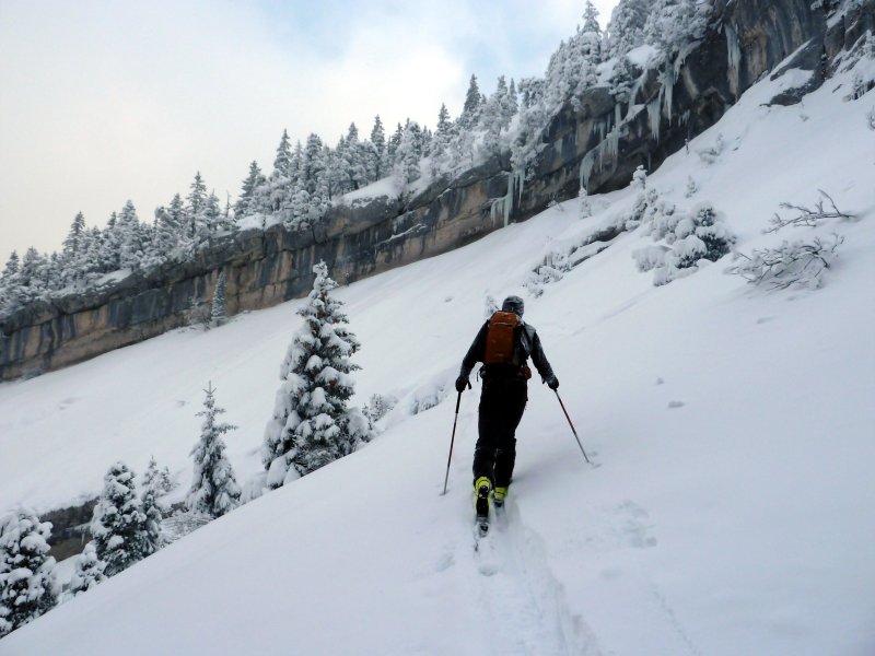 #7 Cirque sans Nom : Bertrand à la trace Cirque sans Nom : Bertrand à la trace