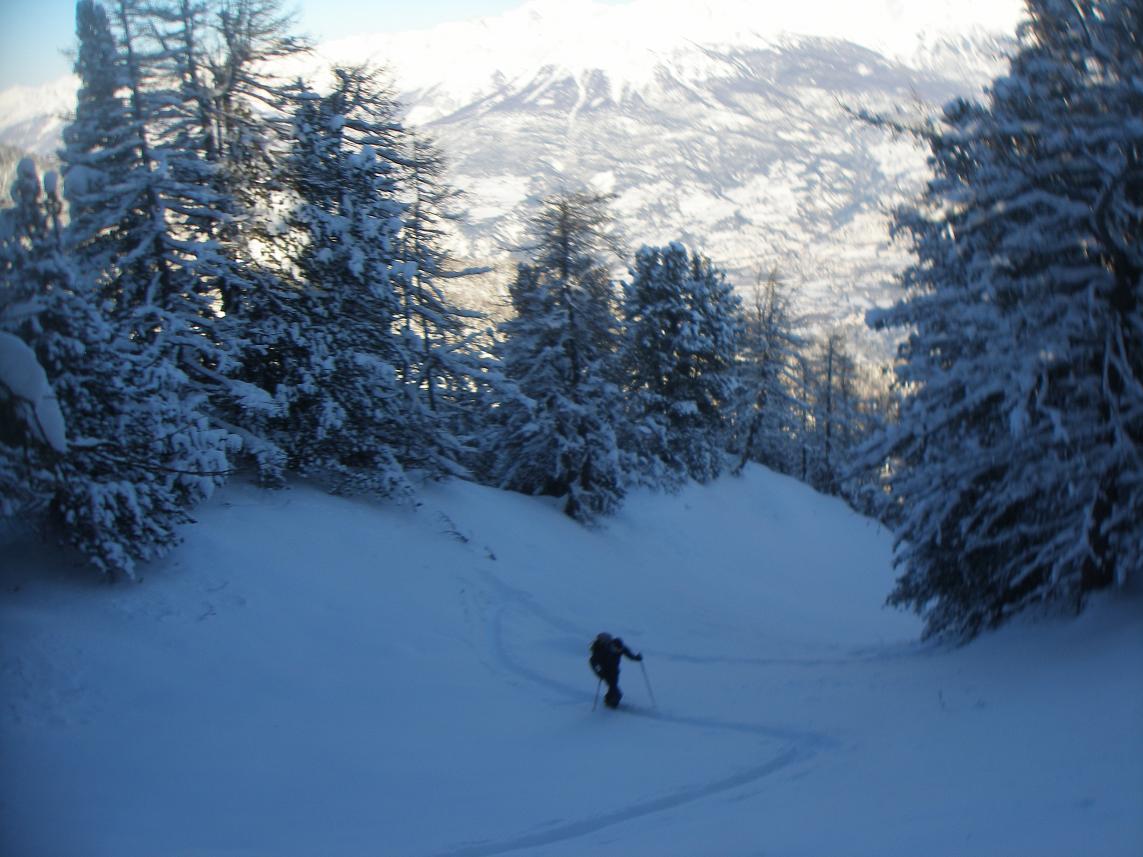#1 sortie du bois : appareil photo poussif sortie du bois : appareil photo poussif