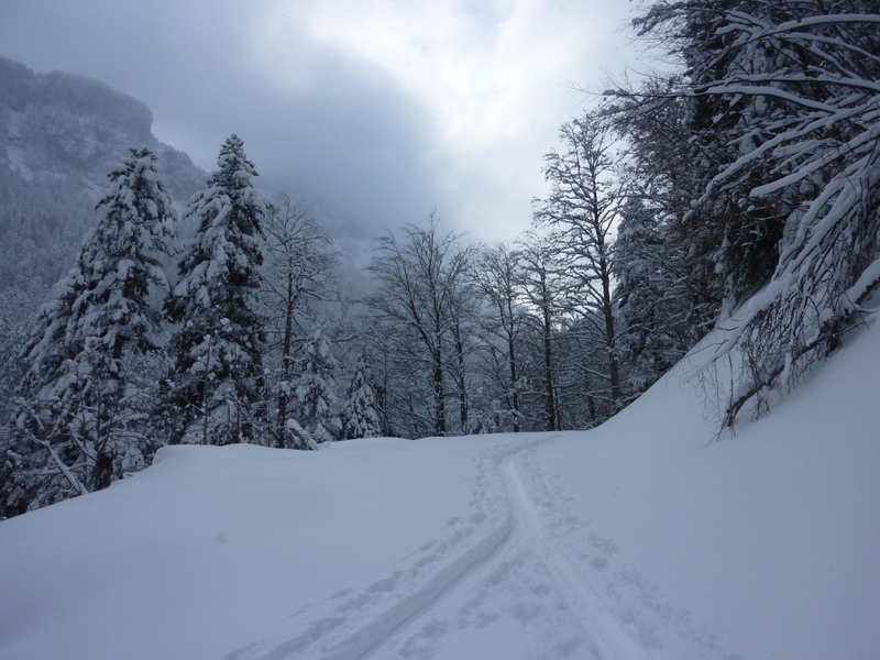 #2 Ascension vers le col des Ayes : Bonne trace Ascension vers le col des Ayes : Bonne trace