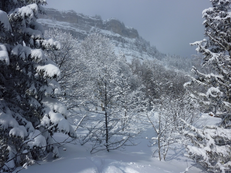#4 Ascension vers le col des Ayes : Apparition des falaises sous le Roc d Ascension vers le col des Ayes : Apparition des falaises sous le Roc d'Arguille