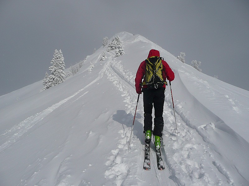 #6 mon compagnon de sommet : belle arête bien tracée mon compagnon de sommet : belle arête bien tracée
