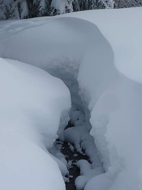 #1 canyon : le ruisseau qui se prend pour un canyon canyon : le ruisseau qui se prend pour un canyon