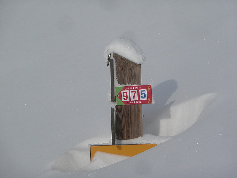 #3 idem vers l idem vers l'abreuvoir : la disparition est prévue pour la prochaine chute de neige