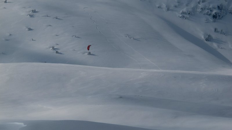 #1 Drôle d Drôle d'oiseau