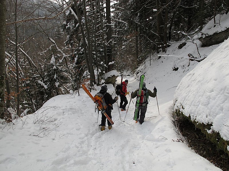 #5 Grand Ski sur le Sentier. Grand Ski sur le Sentier.