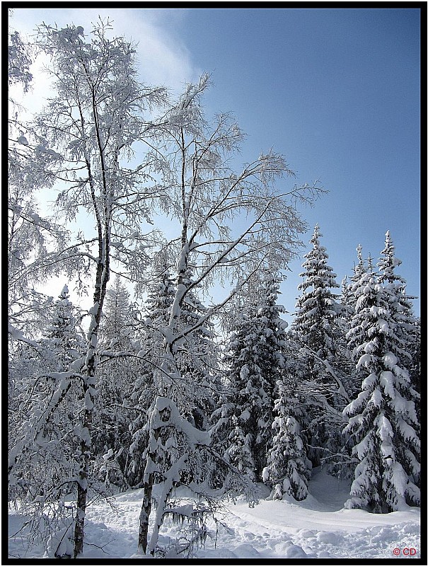 #2 Un coup de ciel bleu : assez rare ce matin ! Un coup de ciel bleu : assez rare ce matin !