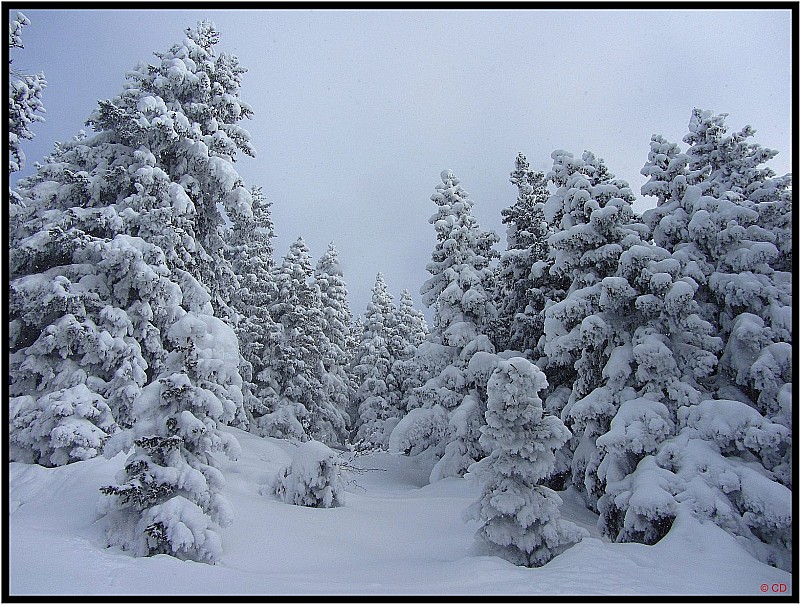 #3 Un coup de ciel voilé : + de neige que ça, c Un coup de ciel voilé : + de neige que ça, c'est pas possible !