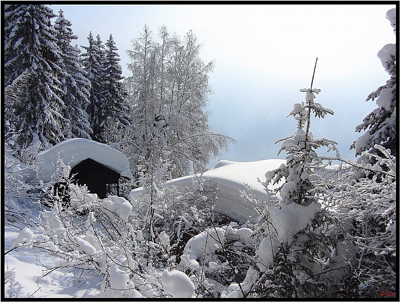 #1 Chalets du Plan de la Cry : Un beau paquet de neige Chalets du Plan de la Cry : Un beau paquet de neige