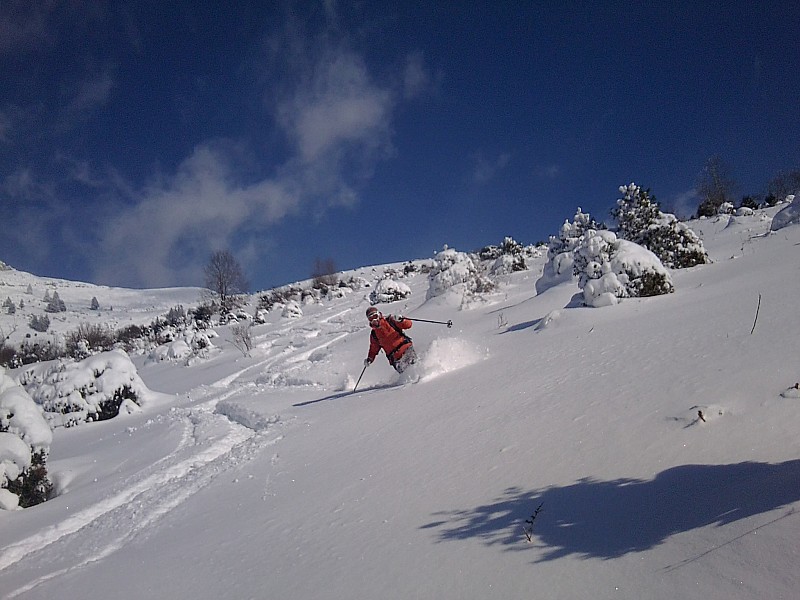#1 dans la poudreuse : descente de rêve dans la poudreuse : descente de rêve