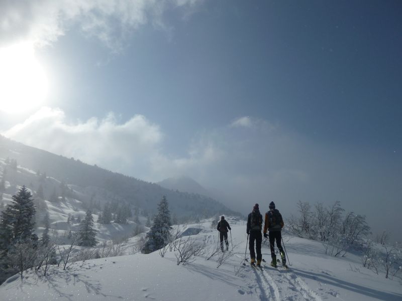 Sortie de la forêt : Passage du soleil