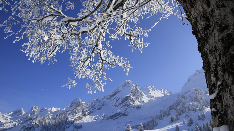 #1 Aravis depuis les confins : ça a d Aravis depuis les confins : ça a d'la gueule quand même !