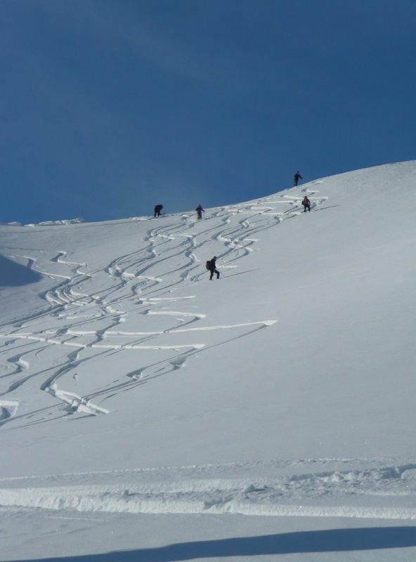 #5 Poudre encore : C Poudre encore : C'est tjs le top !!!