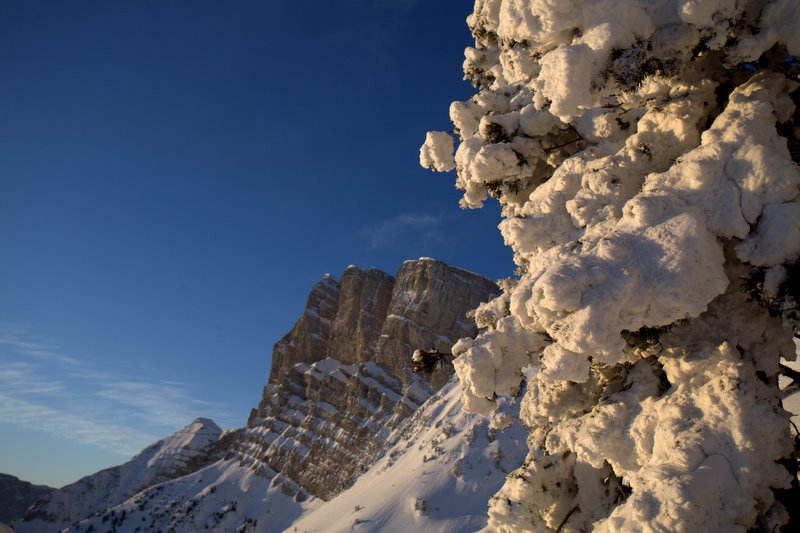 #8 Le Grand Veymont : veille sur nous Le Grand Veymont : veille sur nous