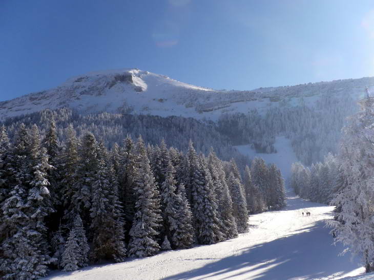 #1 Chamechaude : Je sais pas pourquoi j Chamechaude : Je sais pas pourquoi j'ai fait cette photo... bon, par la suite j'ai réussi à ne pas photographier "un pin givré" AOC Chamechaude!