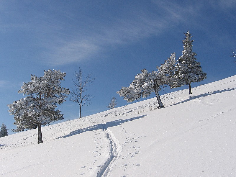 #4 vers la crête des Pras : juste une trace devant moi vers la crête des Pras : juste une trace devant moi