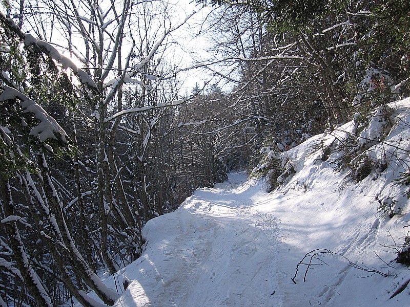 #2 Chemin en haut des combaux Chemin en haut des combaux