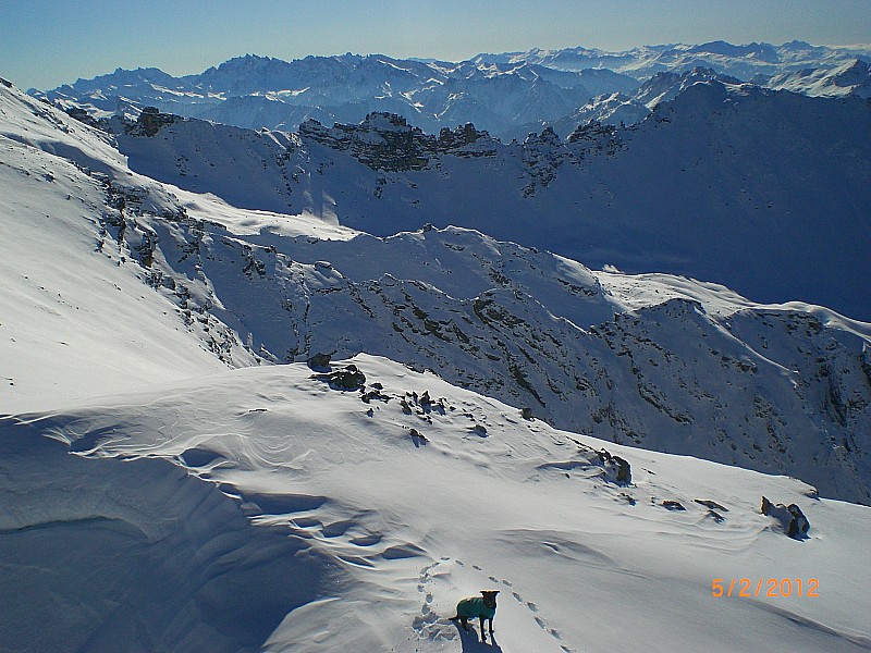 #3 Turge de laSuffie : Vers le Col des Portes et le Queyras Turge de laSuffie : Vers le Col des Portes et le Queyras
