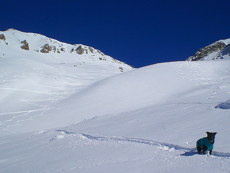#8 Turge de laSuffie : Bonnes conditions sous le col Turge de laSuffie : Bonnes conditions sous le col