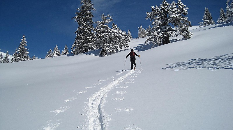 #1 grande sure : en direction du col d grande sure : en direction du col d'Hurtière