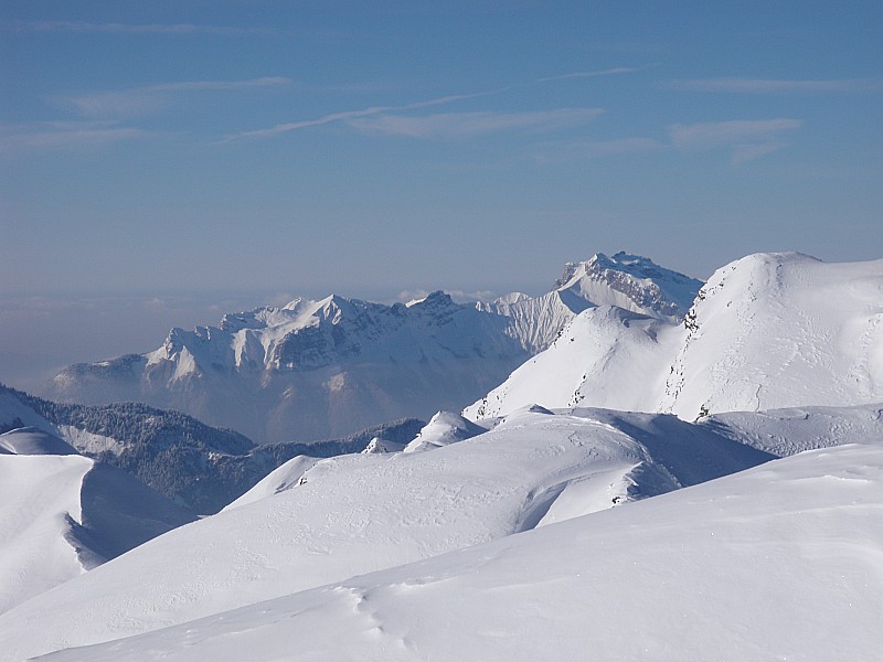 #9 vue du sommet du P. d. l. V. R : crêt des mouches, c vue du sommet du P. d. l. V. R : crêt des mouches, c'est normal près d'une vache